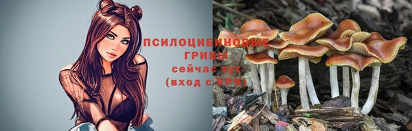 ALPHA PVP Магас