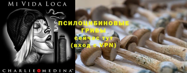 ALPHA PVP Магас