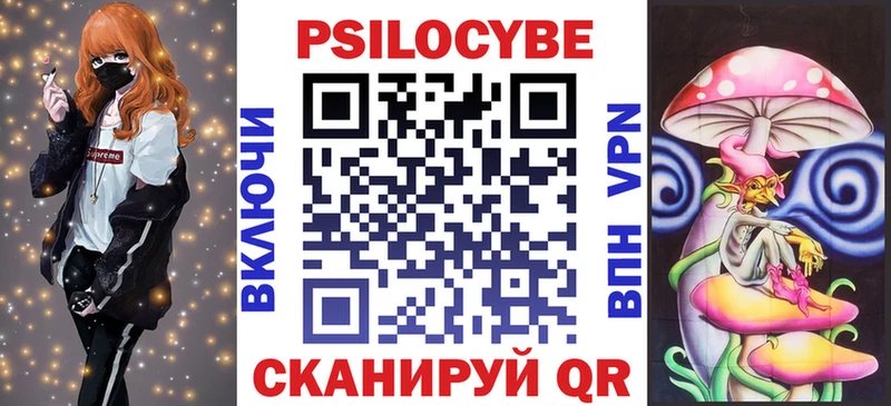 мориарти официальный сайт  Шацк  Галлюциногенные грибы Psilocybine cubensis 