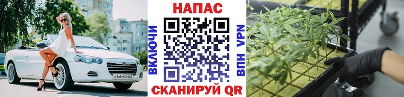 Каннабис семена Шацк